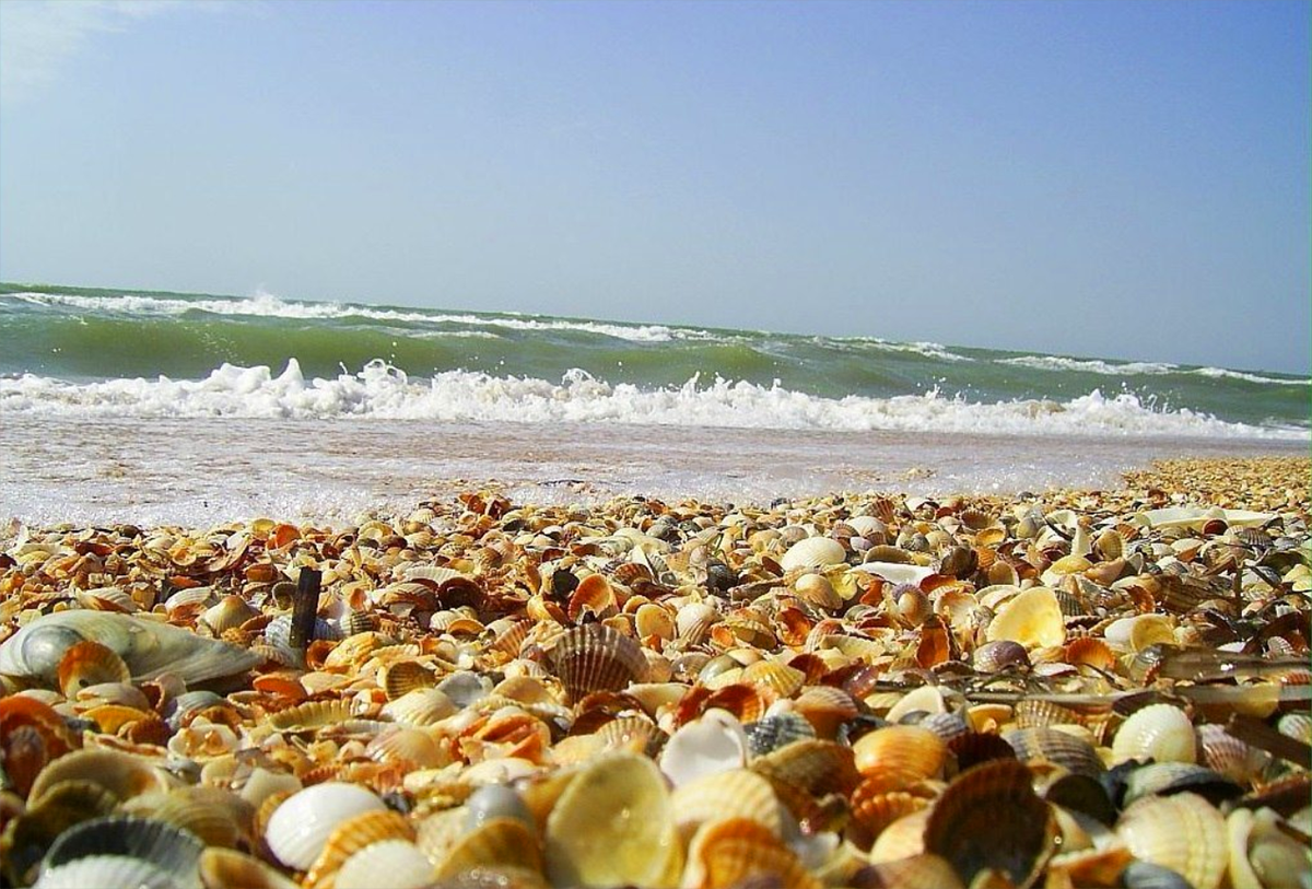 Азовское море картинки