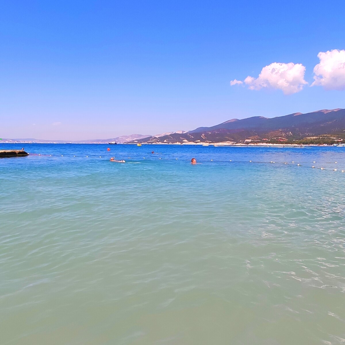 Это и все остальные фото в данной статье сделаны автором канала "Играй со мной"