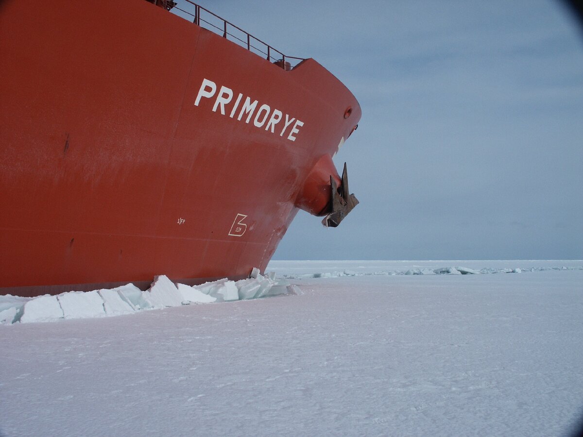 Земля франца иосифа ледокол. 50 лет победы атомный ледокол. Таймыр атомный ледокол ледоколы. Ледокол красин на земле франца иосифа. Экскурсия на северный полюс на ледоколе.