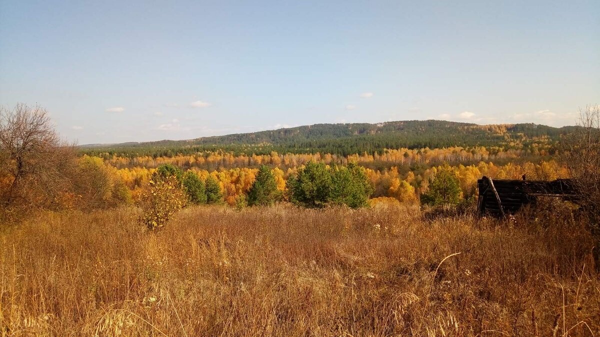Заброшенное село Васильевка 