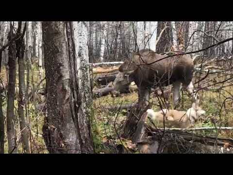 Фото из интернета. 