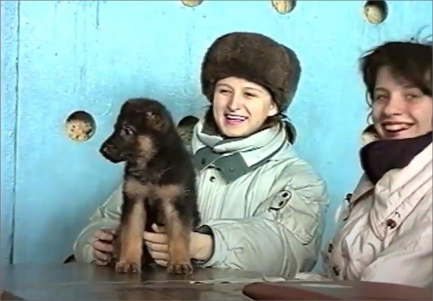 Фото автора, выставка собак