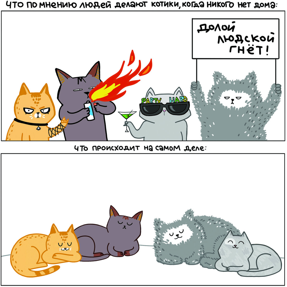 Люди думают, что коты без них чудят. Но котики не такие предсказуемые! Ведь не интересно чудить без зрителей