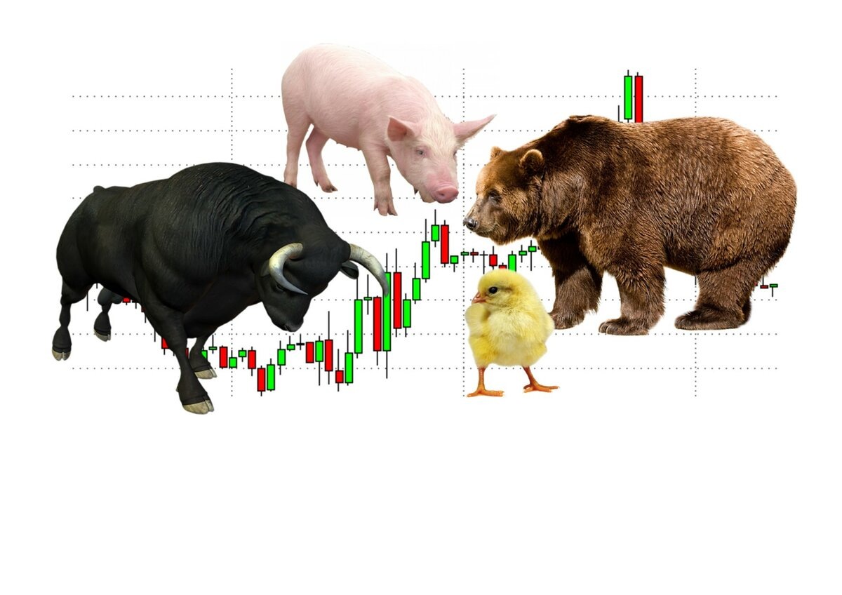 Скажи мне кто ты, и я скажу как ты торгуешь.