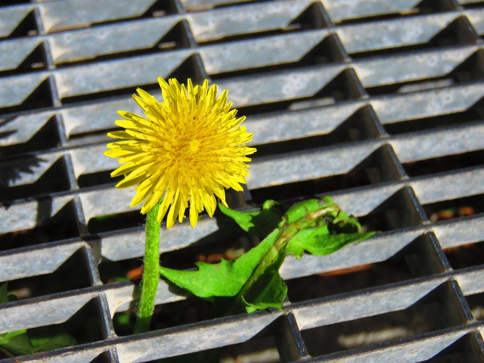 как прокачать силу воли? 