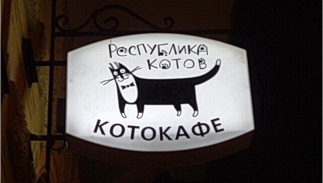 Там дышится легче и легче танцуется...Котокафе на Литейном проспекте, 60.