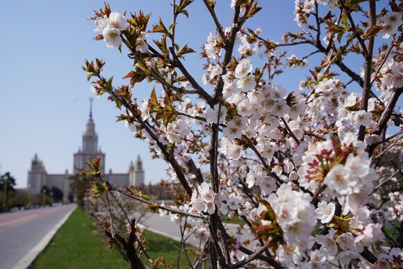 #вЕСНА В мОСКВЕ 