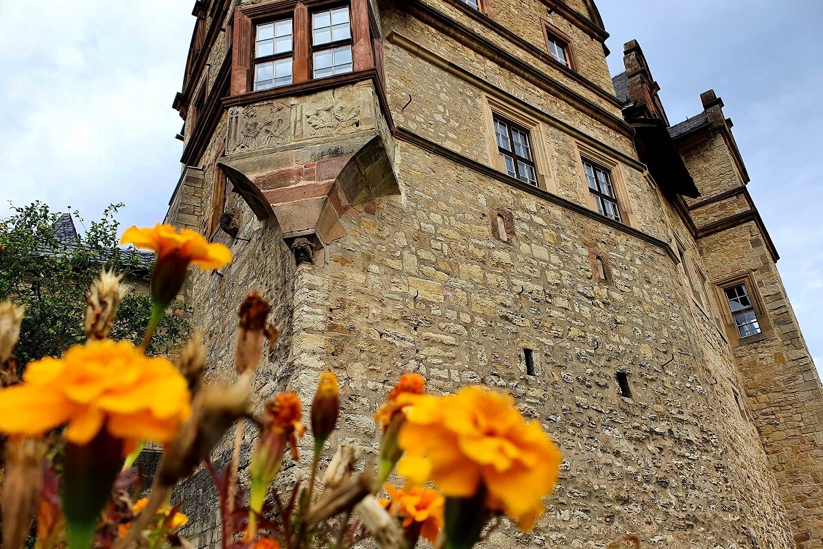 Oberschloss Kranichfeld – замок с привидением | Светлана Вайс: Мир моими  глазами | Дзен