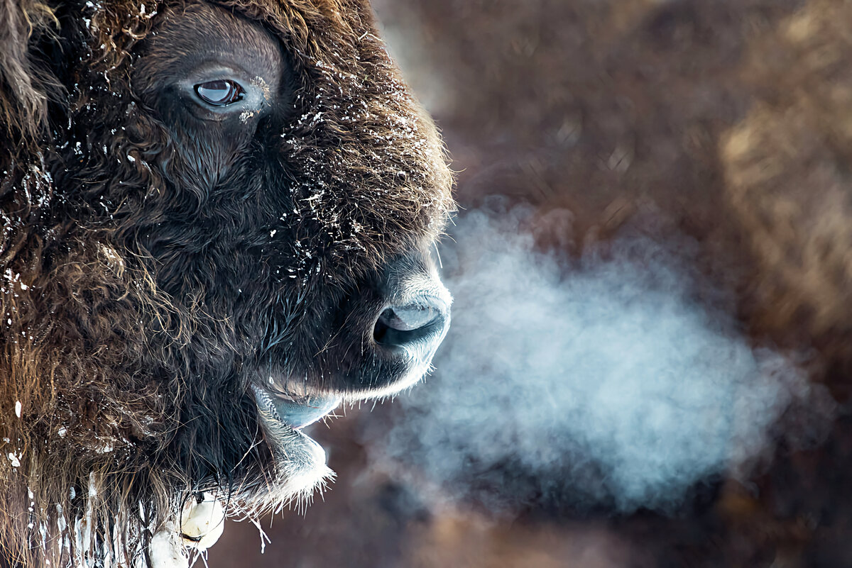 Впрочем, это не мешает его функциональности.