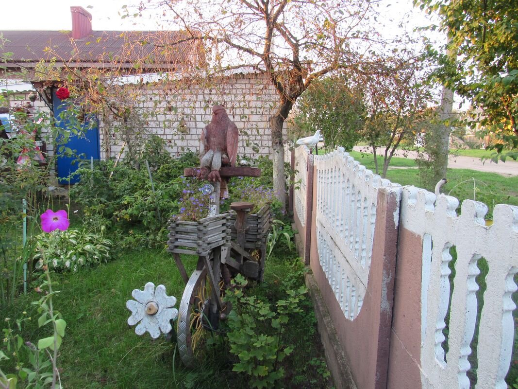 В одном дворе ежи, зубры и птицы. Житель Молодечно создал необычный «зоопарк»  | Минская правда | МЛЫН.BY | Дзен