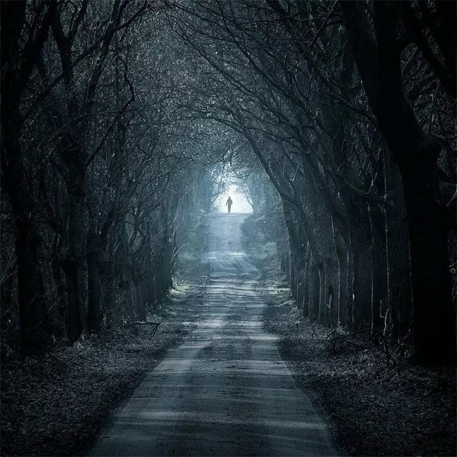 https://witches-house.ru/wp-content/uploads/2020/06/s1200-2.jpg