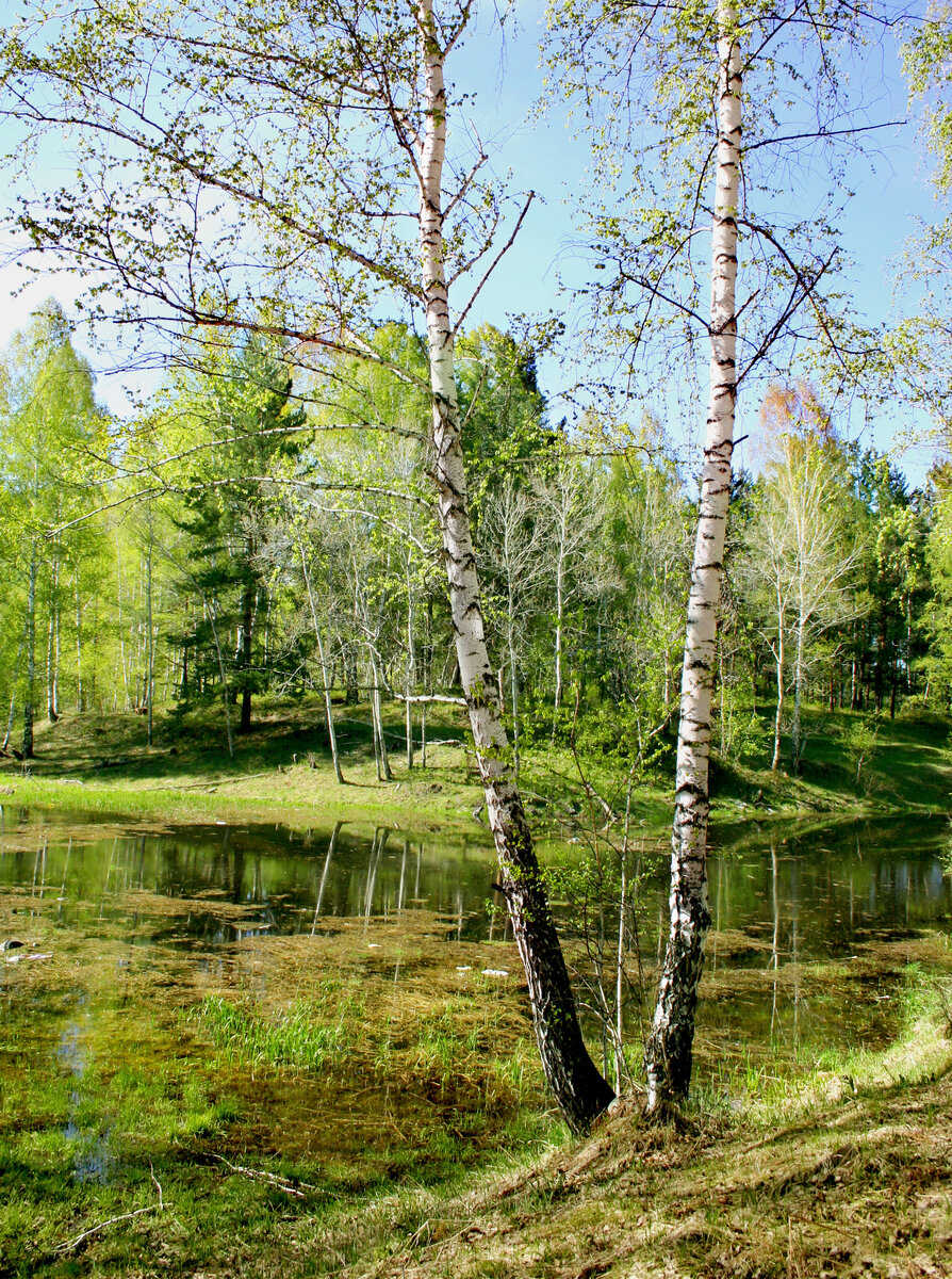 Фотография, стихотворение Василия Глуцкого