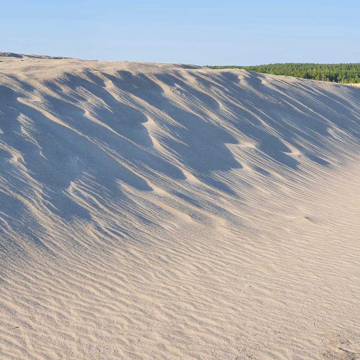 Пустыня в тайгинке фото