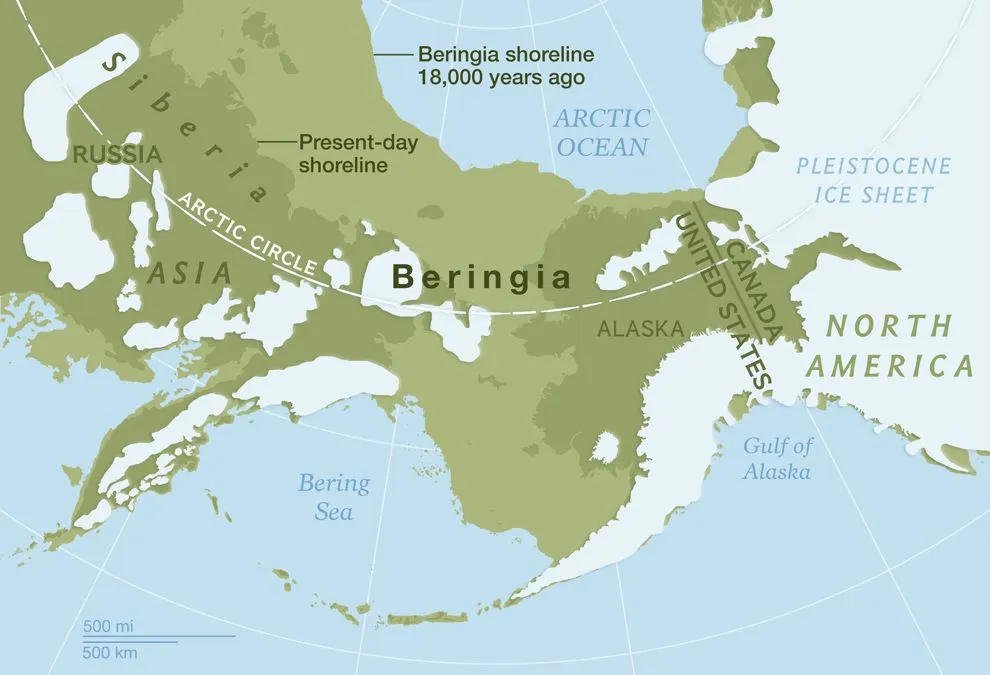 Пролив евразия северная америка. Сухопутный мост Берингия. Берингия материк. Берингийский перешеек. Древняя Берингия.