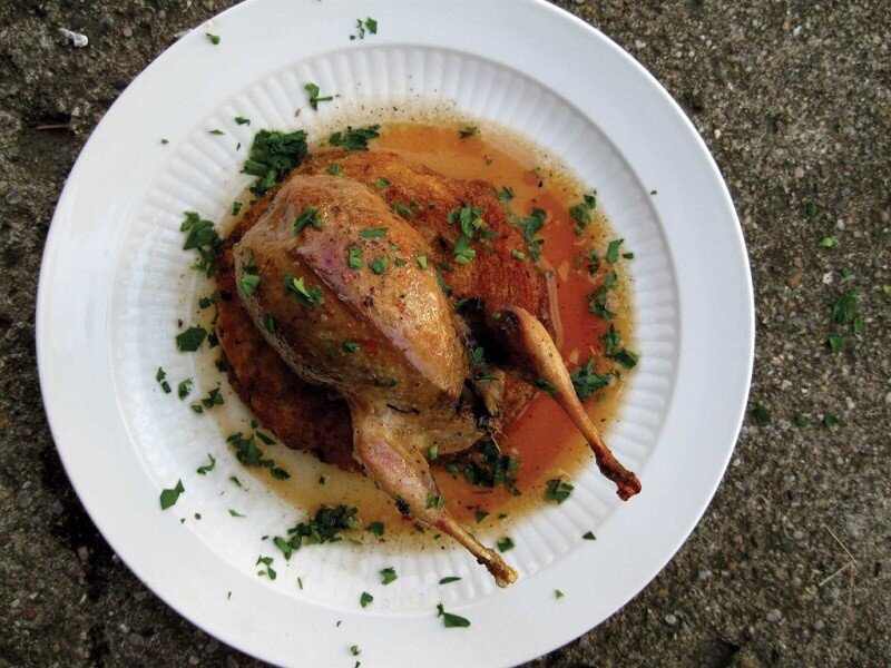 Жареный вальдшнеп. Фото из открытых источников