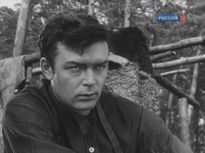 фото с Яндекс картинки