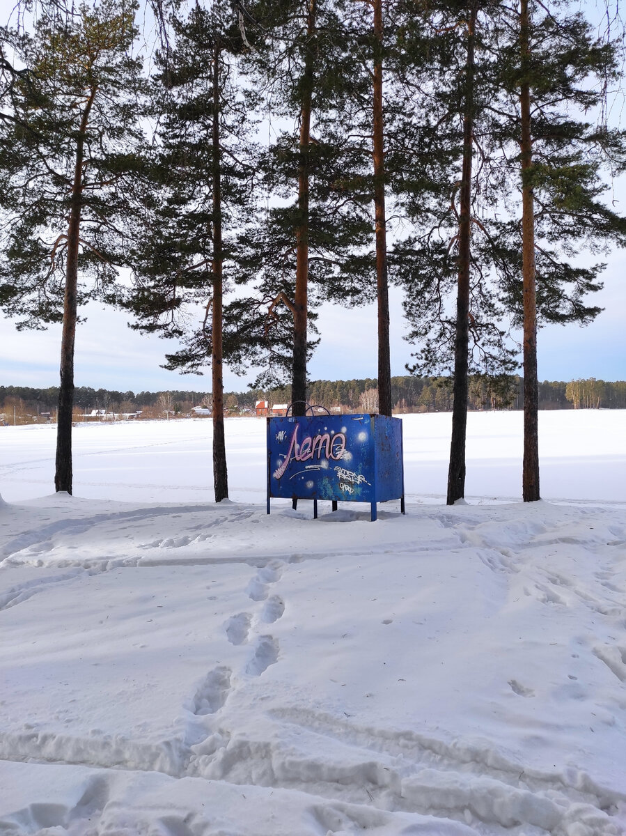 Мало-Истокский лесной парк (Екатеринбург). Метаморфозы в 2021 году | Одно  место | Дзен