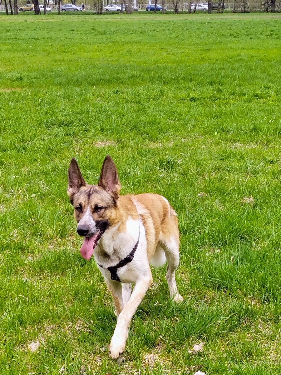 немного летнего тепла 