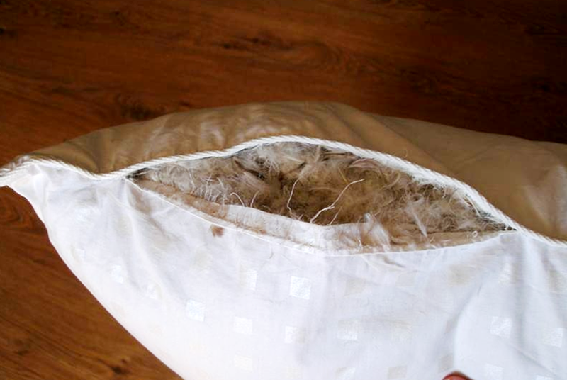 Подклад. Изображение из интернета