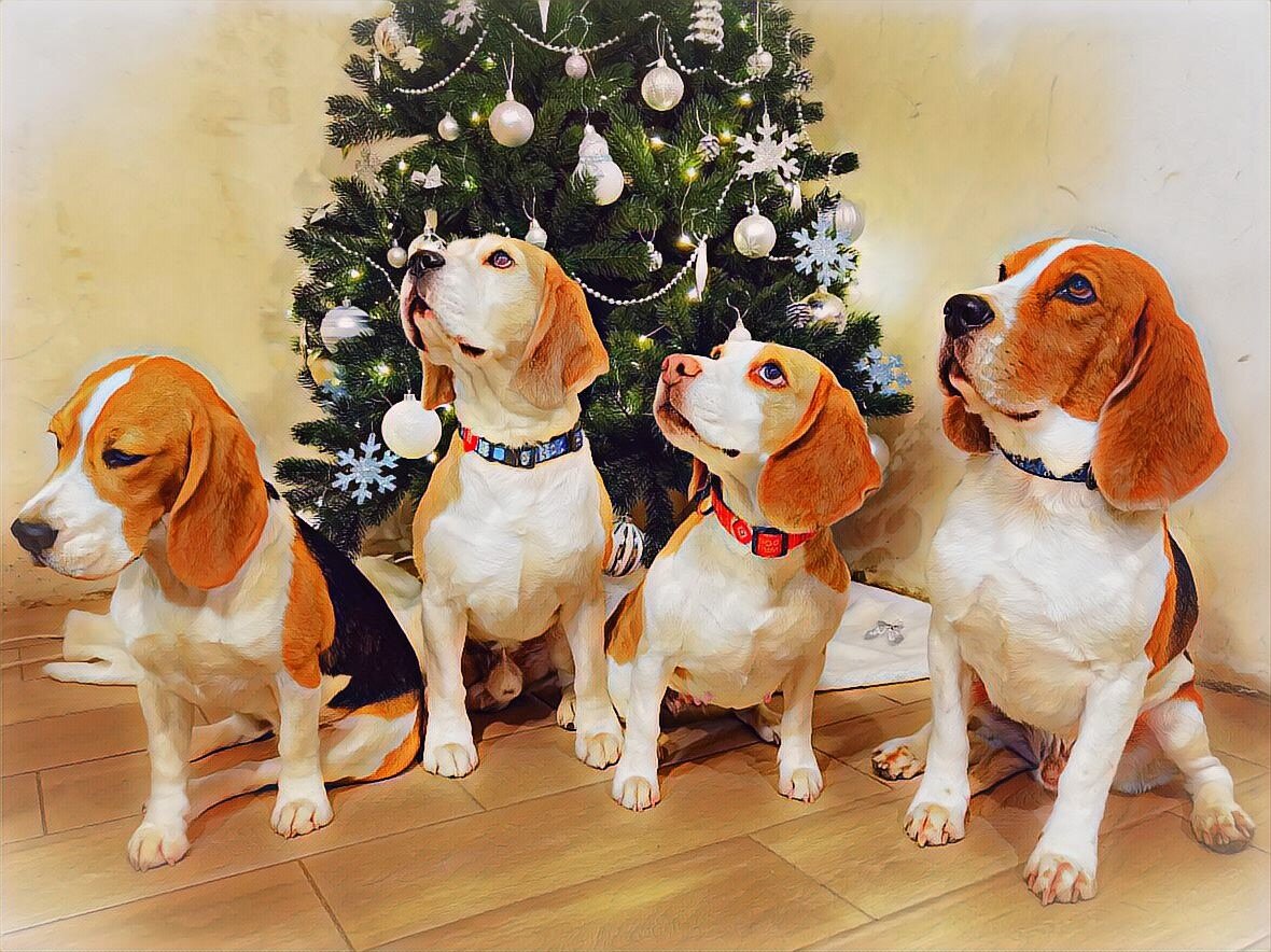 Новый год - повод собраться вместе! 