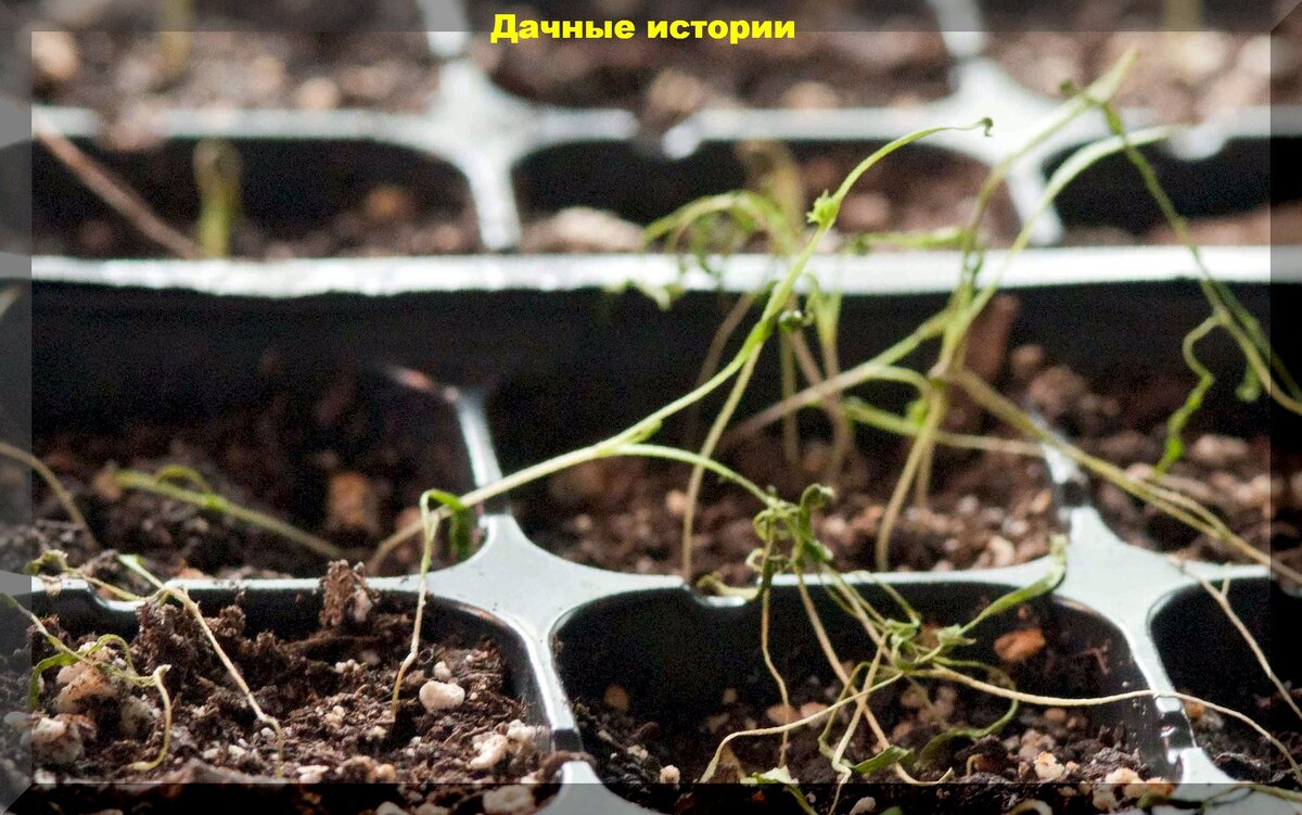 https://vk.com/photo-159774511_457251089