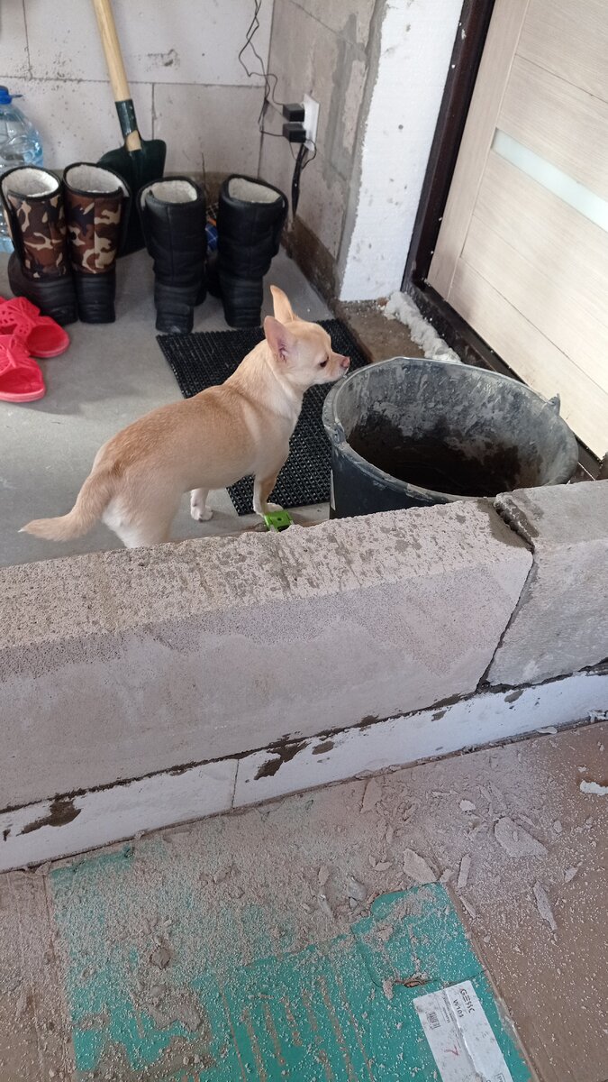 Фото из личного архива