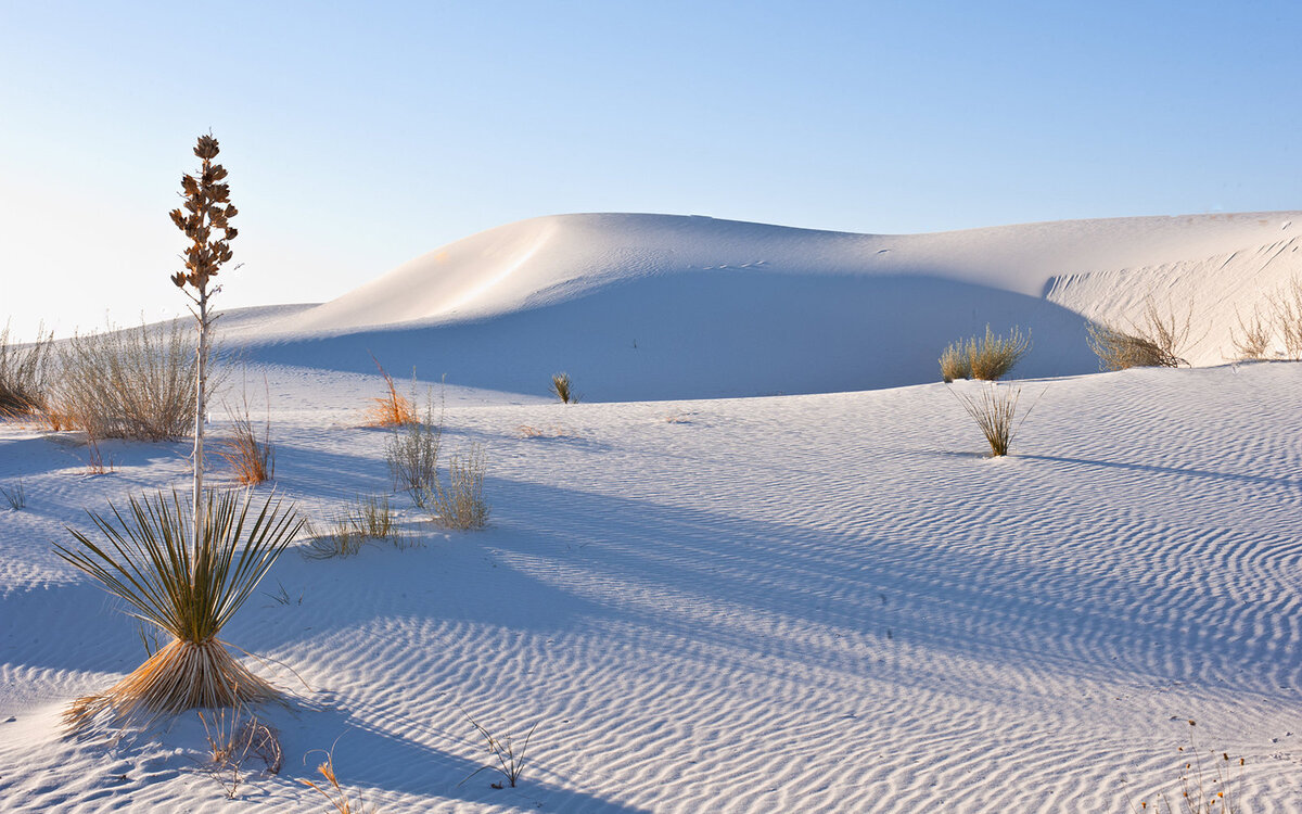 Desert Snow С†РІРµС‚РѕРє