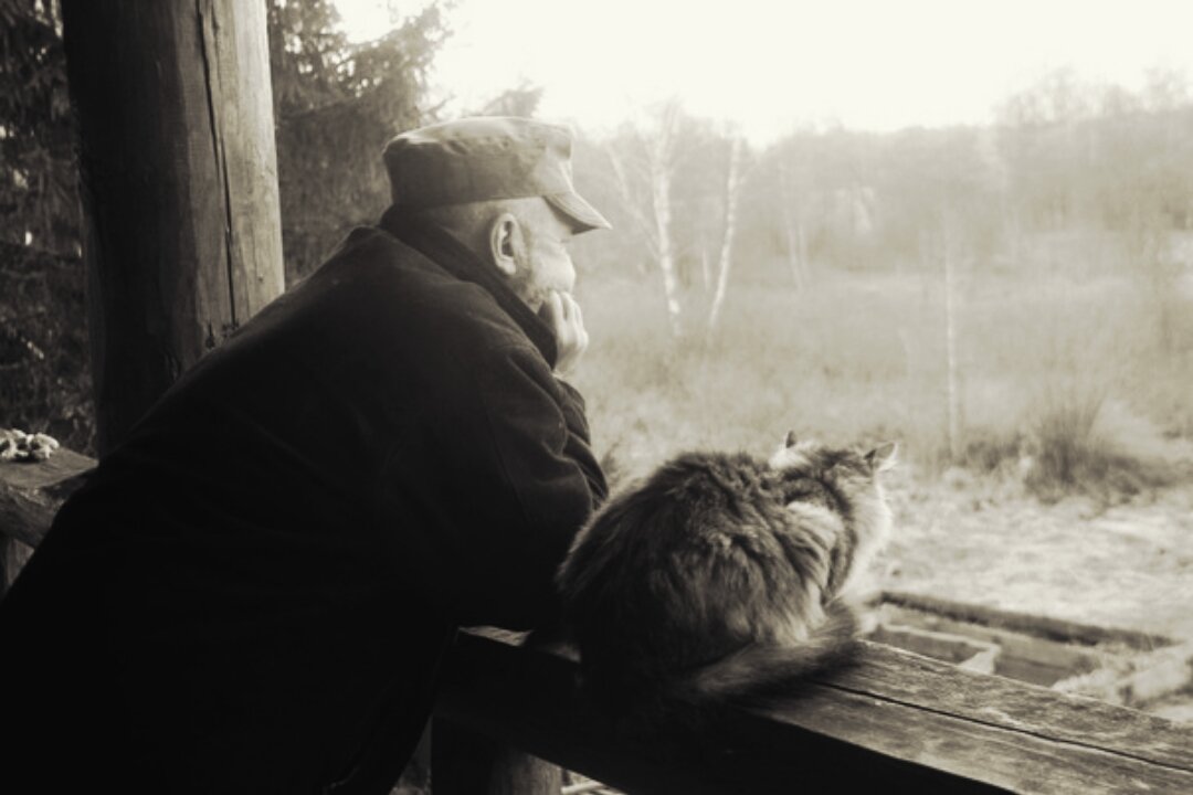 Фото из свободного доступа