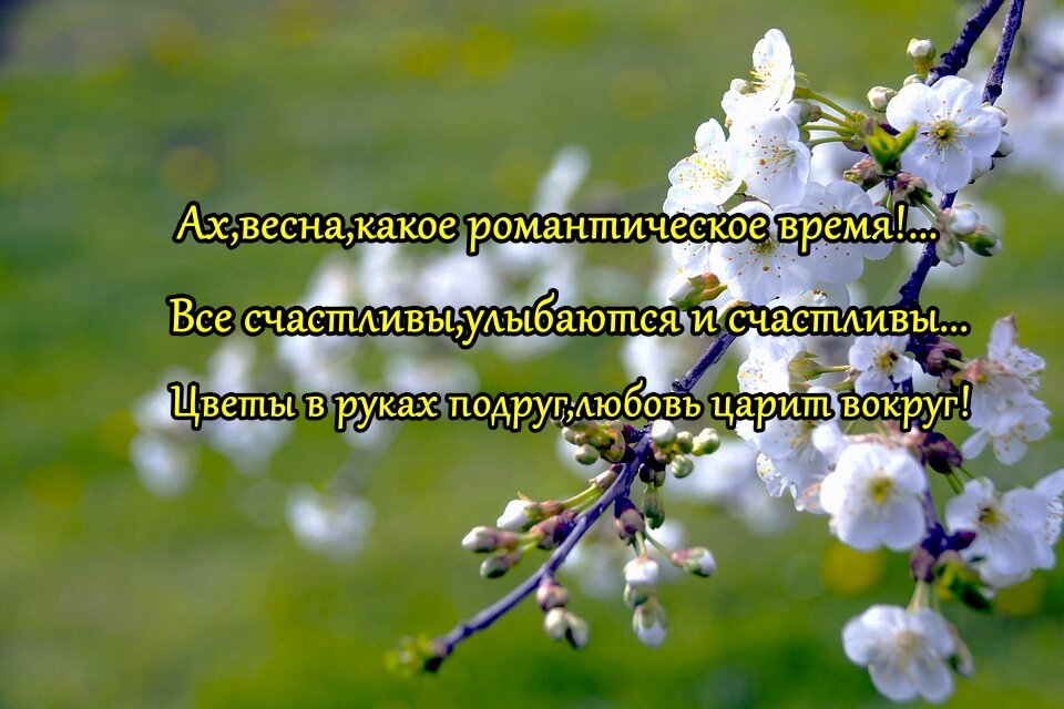 Цитаты о весне, которые показывают всю прелесть этого времени года – Люкс ФМ