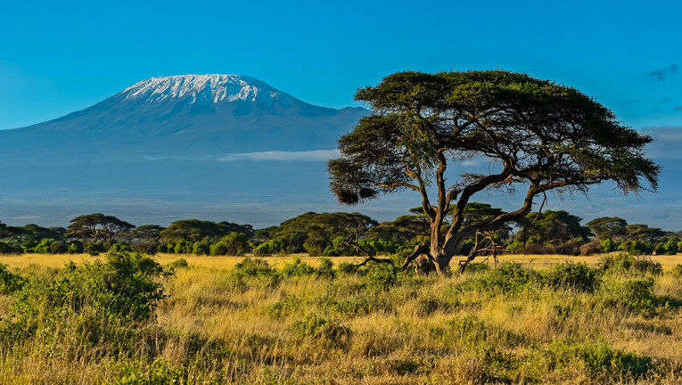 Фото: depositphotos.com