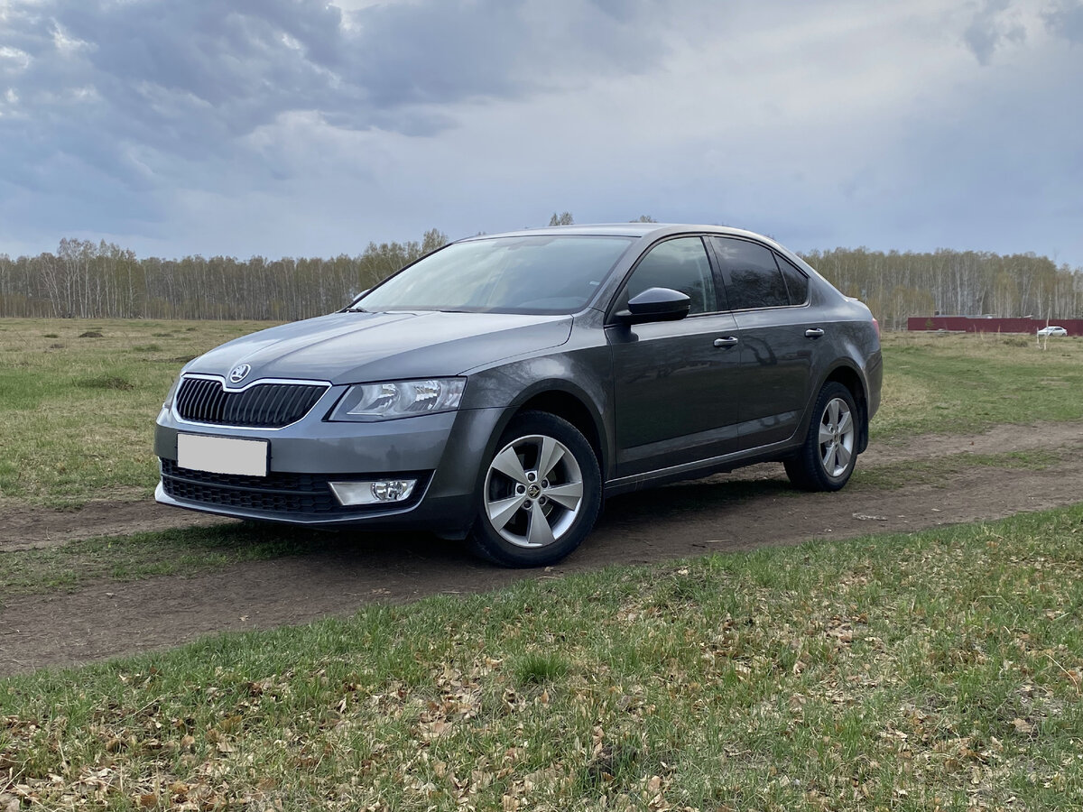 Купил, продал - Skoda Octavia A7. Сколько стоят хорошие машины? |  Avtopoisk74 | Дзен