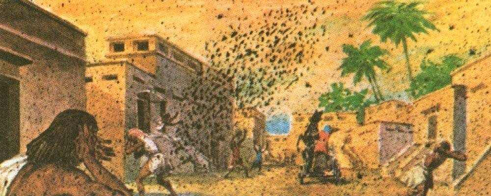 Казнь египетская. Нападение песьих мух, проделки Ваала - повелителя мух.