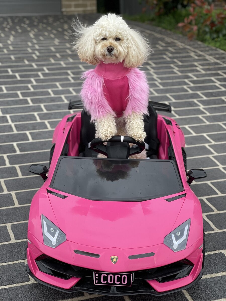 Личная машина