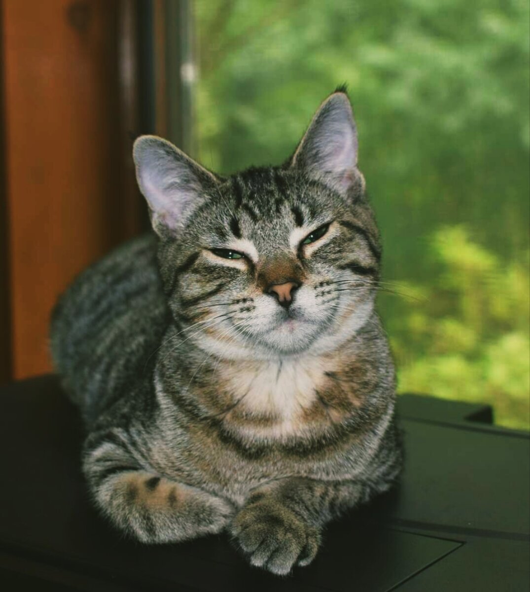 Наглядная иллюстрация 