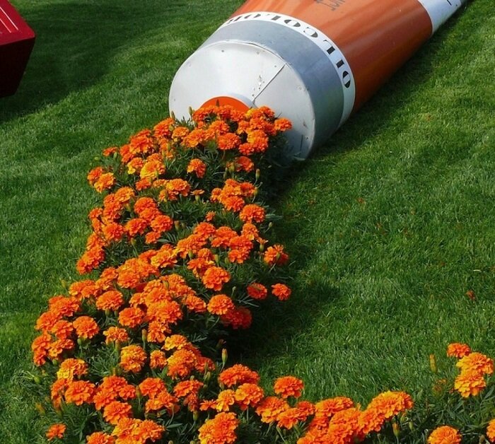 Оранжевое настроение)