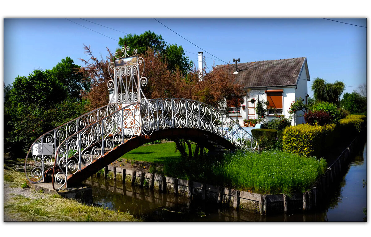 Узкие протоки гортильонов соединены мостами. (Фото: Claude Thibault/Alamy) 