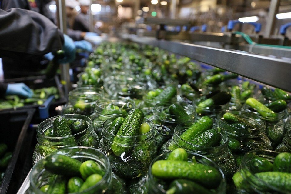     Фото: Администрация Волгоградской области