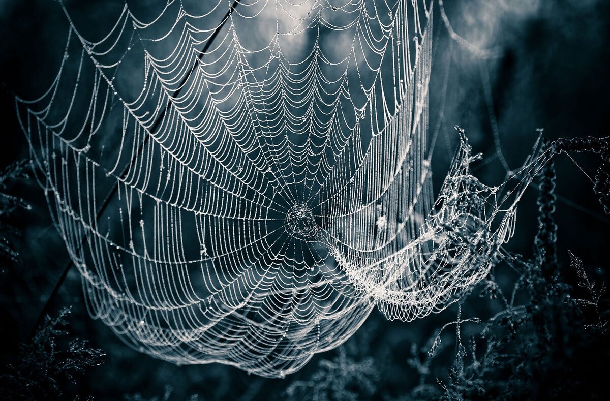 Взято на Яндекс Картинках