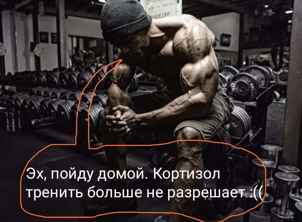 Кортизола бояться - в зал не ходить 