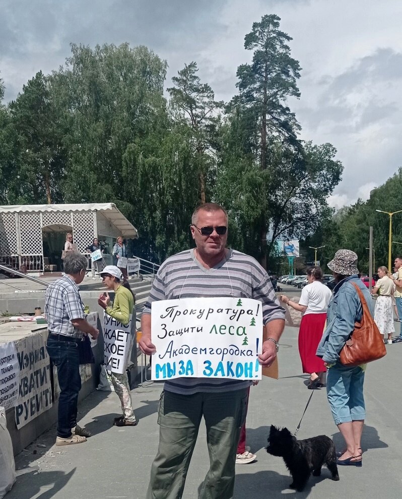 Причины протестов против вырубки леса в Новосибирском Академгородке |  Новосибирское ЯБЛОКО | Дзен