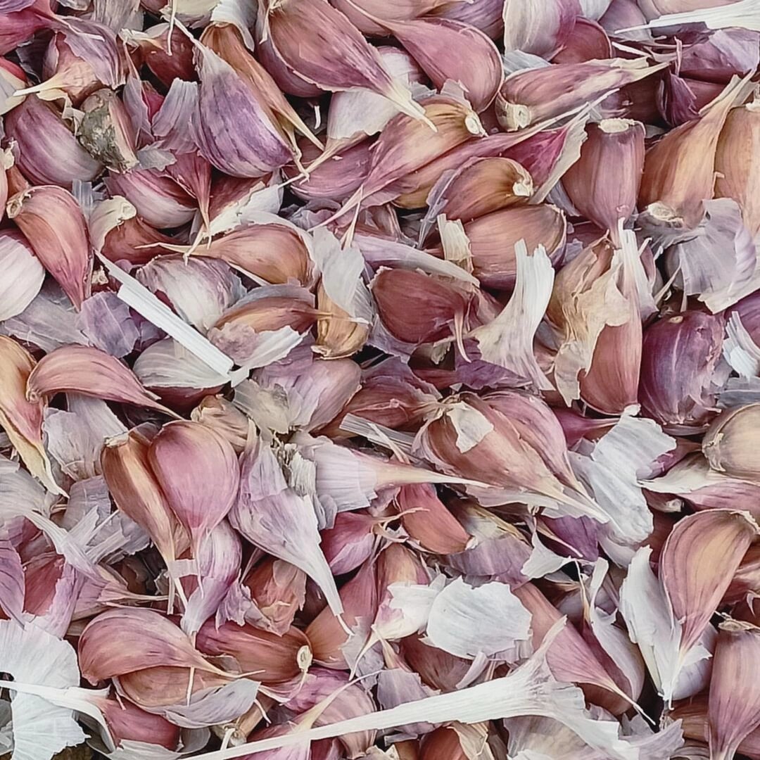 Фото из архива автора ВОЛЯ В ПОЛЕ. Зубчики выбираем самые красивые