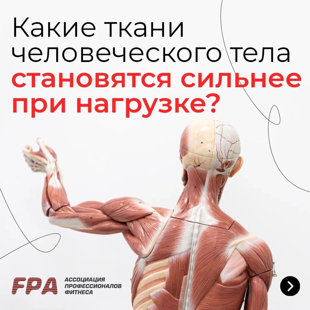 Ассоциация профессионалов фитнеса