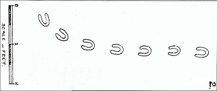 Иллюстрация следов в английской газете. Авторство: English Papers 1855. English Papers 1855, Общественное достояние, https://commons.wikimedia.org/w/index.php?curid=6067686