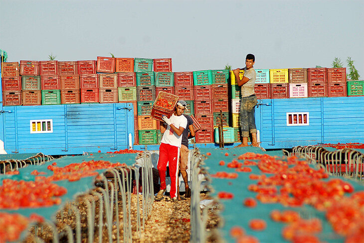 Экспорт 30. Эмиграция из Франции.
