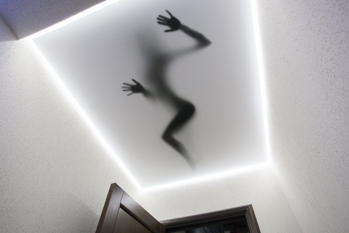 Кто-то шибуршит на потолке