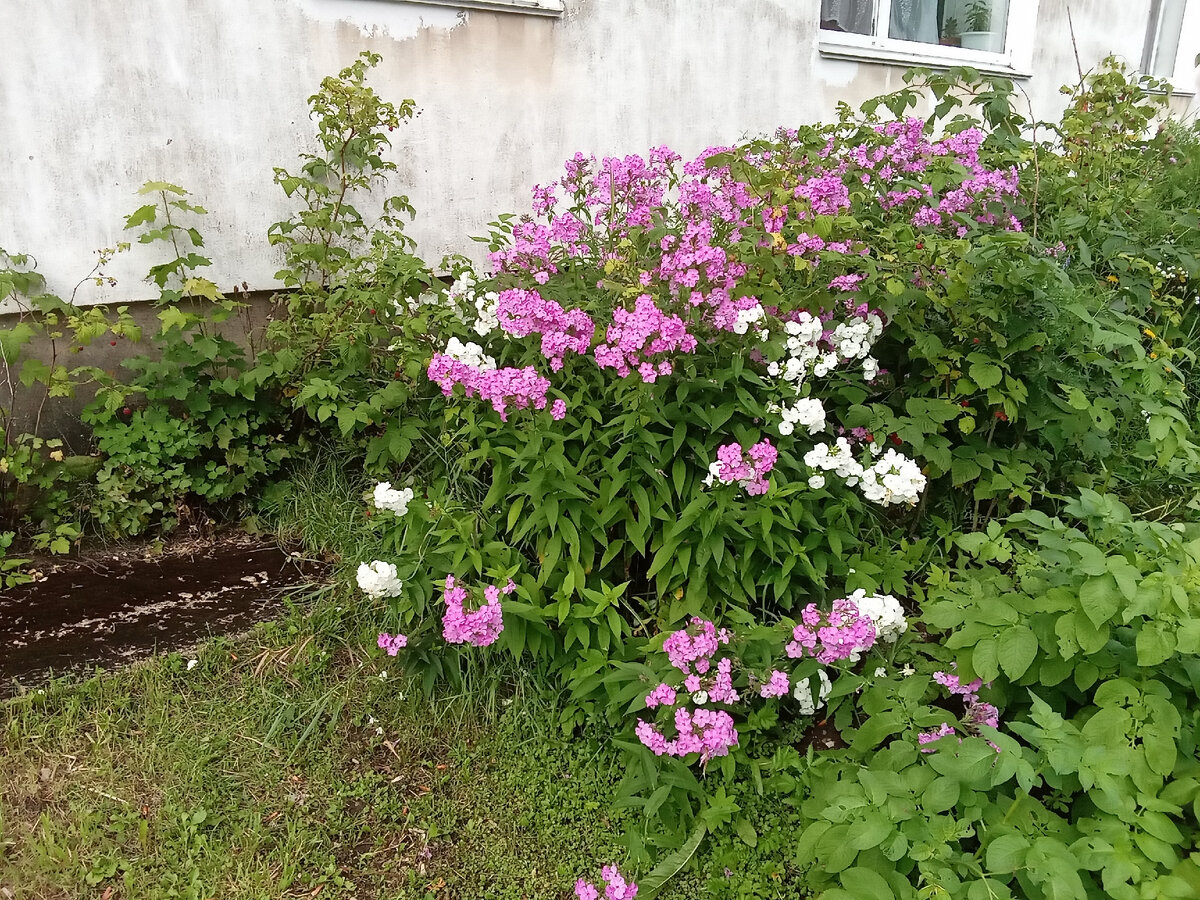 личное фото