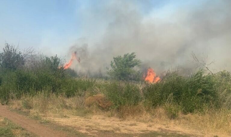    В Оренбуржье в нескольких районах сохраняется высокая пожарная опасность Кристина Просвиркина