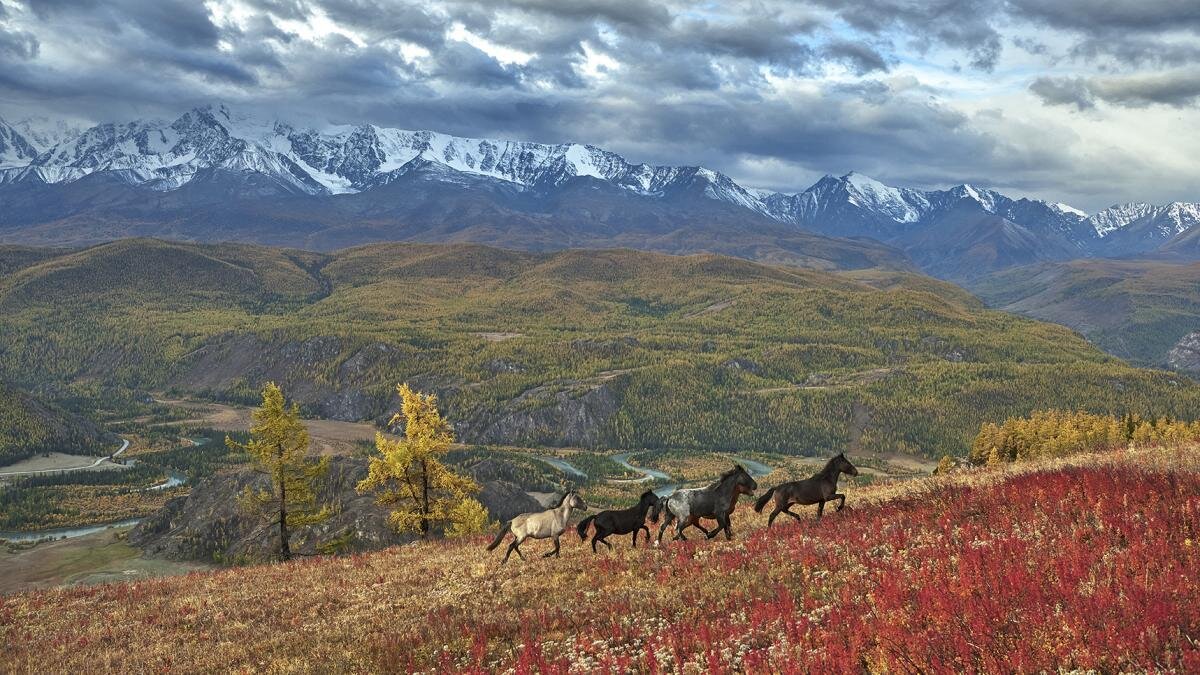 Путешествие в Алтайский край