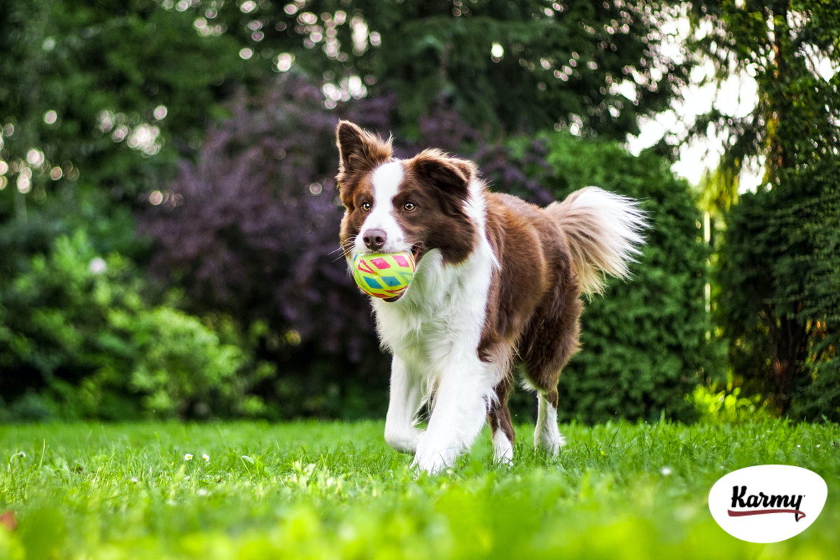 Авторское изображение с использованием картинки с фотостока "Unsplash"