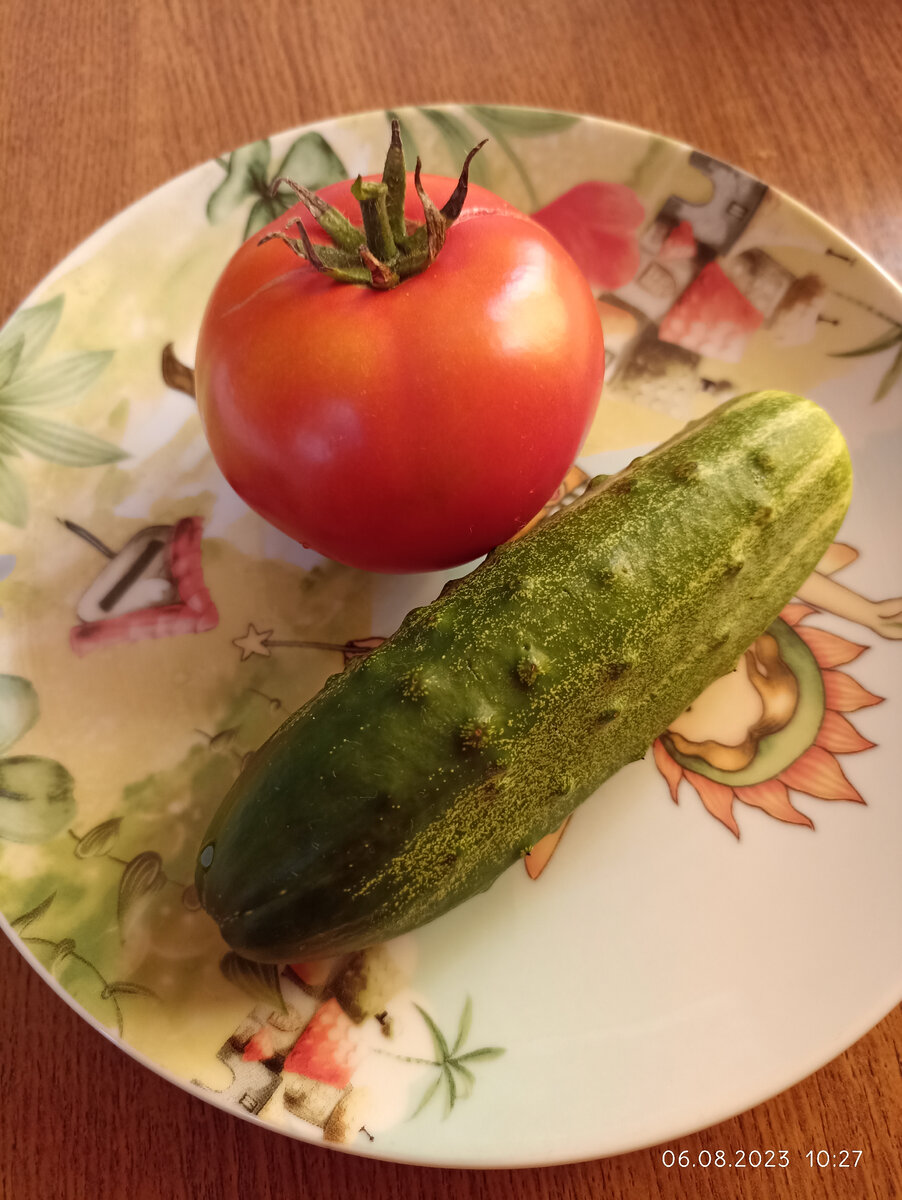 Летом овощи вам в помощь